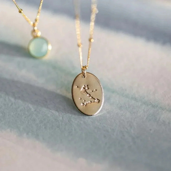 Pisces Zodiac Minimalist Charm Oval Disc Necklace - Picture 11 of 11